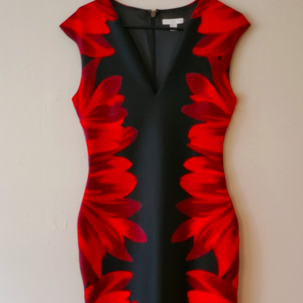 New York & Company Dress